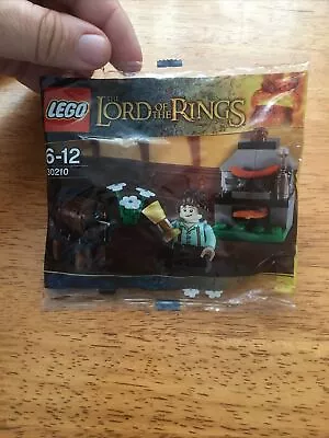 Buy LEGO The Lord Of The Rings: Frodo With Cooking Corner (30210) • 12£