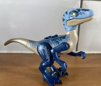 Buy Lego Jurassic World ‘Blue’ Velociraptor Figure - Velociraptor Set 75917 • 14.99£