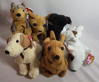 Buy Set Of 6 Ty Beanie Baby Dogs. All With Tags. See Description  Please.  • 24.99£