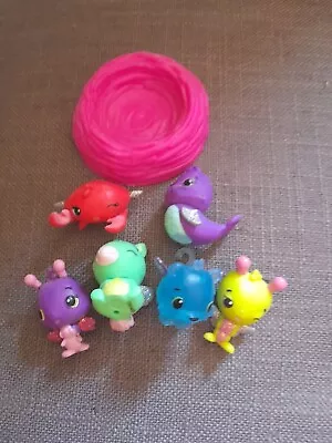 Buy Hatchimals Colleggtibles Bundle With Pink Nest Seal Crab Cat Bee Anteagle • 3£