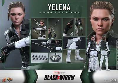 Buy Hot Toys 1/6 Scale Yelena Collectors  Figure  From The Black Widow Film • 295£