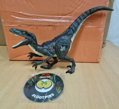 Buy Jurassic World Velociraptor Blue Dinosaur Growler Action Figure With Badge • 10.39£