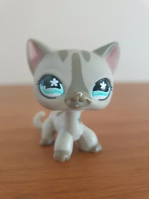 Buy Littlest PET SHOP - Authentic # 468 European Cat Cat Hasbro Petshop • 11.20£