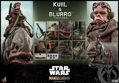 Buy Hot Toys Star Wars - The Mandalorian - Kuiil And Blurgg 1/6 Figure Sideshow Set • 621.15£