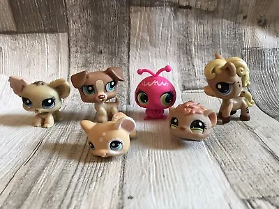 Buy Hasbro Littlest Pet Shop Figures X 6 LPS Pony Puppy Dog Hamster Guinea Pig Bug • 14.99£