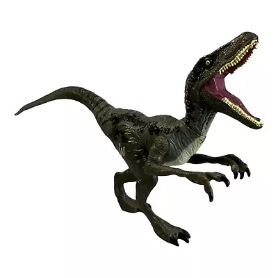 Buy Jurassic World Velociraptor Dinosaur Figure Hasbro 2015 #B1142 • 7.50£