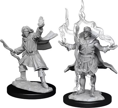 Buy Pathfinder Deep Cuts Unpainted Miniatures: W14 Elf Sorcerer Male • 9.46£