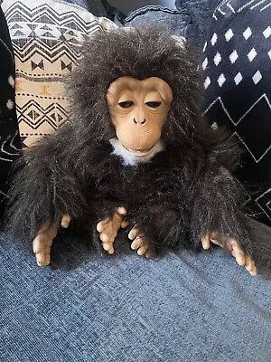 Buy Furreal Friends Cuddle Chimp Interactive Monkey 2005 Hasbro (No Ears No Bottle) • 17.99£