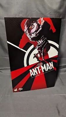 Buy Hot Toys Antman MARVEL MCU The Avengers 1/6 Scale Figure Paul Judd Hottoys • 179.99£