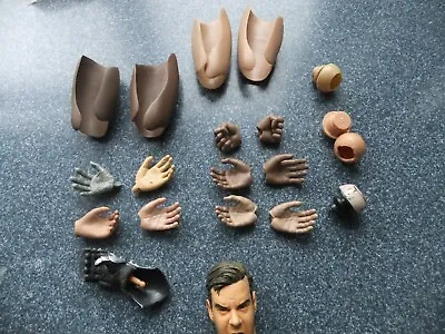 Buy Action Figure 1/6th Body Parts Dragon /hot Toys • 9.99£
