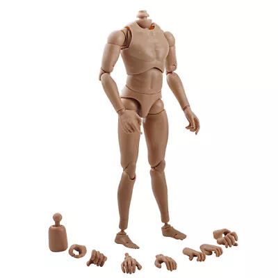Buy 1/6 Strong Muscular Male Narrow Shoulder Figure Body For Hot Toys Heads 12  • 17.43£