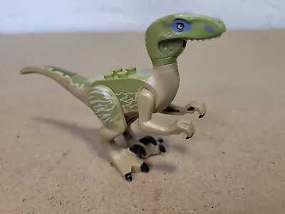 Buy Lego Jurassic World - 'Delta' Raptor/Velociraptor From 75917 'Raptor Rampage' • 2.99£