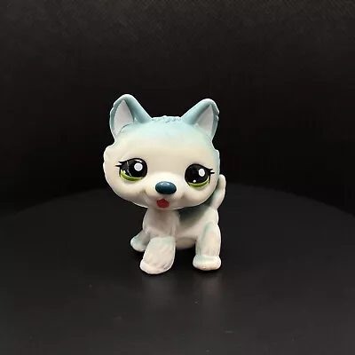 Buy Littlest Pet Shop 1563 Husky Dog Chien Original Hasbro LPS Petshop • 9.99£