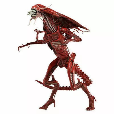 Buy Aliens Genocide Xenomorph Red Queen Ultra Deluxe Action Figure 15  • 299.95£