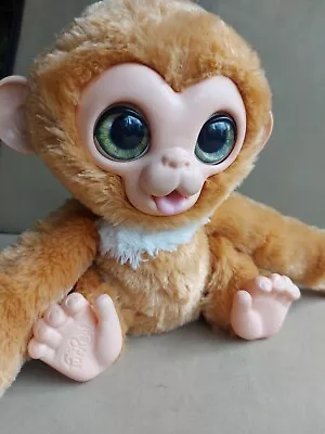 Buy Furreal Friends Interactive Pets Check Up Zandi Monkey Fur Real Chimp Toy Sounds • 14.99£