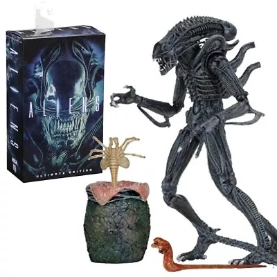 Buy Neca  Aliens (1986) Aliens Warrior (blue) Ultimate 7” Scale Action Figures New • 54.95£