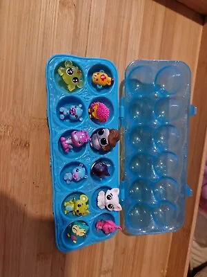 Buy HATCHIMALS CollEGGtibles Ice Blue Egg Carton With 12 Figures. (Set 2) • 12£