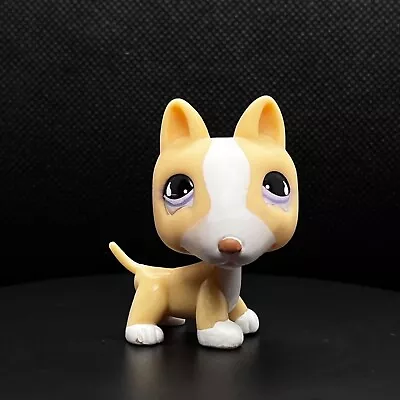 Buy Littlest Pet Shop #860 Dog Pit Bull/Original Terrier Hasbro LPS • 14.99£