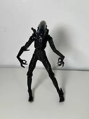 Buy Neca Aliens Figure Alien Vs Predator (z6) • 24.99£