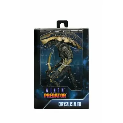 Buy Alien Vs Predator - 7'' Scale Action Figure - Chrysalis Alien (Movie Deco) • 44.60£