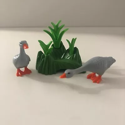 Buy Playmobil Farm Animals & Country Wildlife: Geese With Plants • 5£