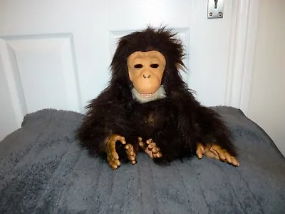 Buy Cuddle Chimp.Hasbro Fur Real Friends Interactive Toy.No Ears/Bottle.***SEE VIDEO • 6.99£