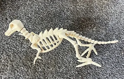 Buy Playmobil Dinosaur Bones Skeleton Fossil Hunter - Volcano Palaeontologist • 3.50£