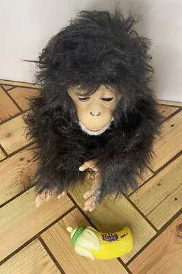 Buy Hasbro Furreal Friends Cuddle Chimp Monkey Interactive Electronic Pet Toy Banana • 19.99£