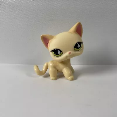 Buy Littlest Pet Shop #733 Toy | Yellow Shorthair Cat | Rare | Official Hasbro • 84.99£