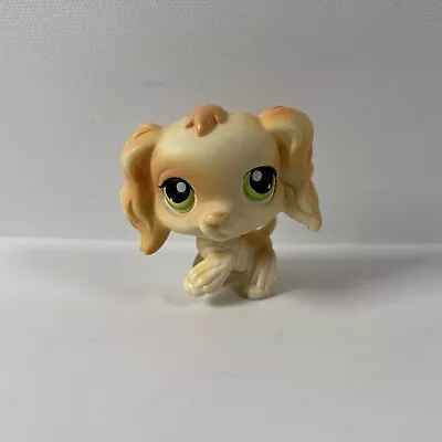Buy Littlest Pet Shop #347 Toy | Yellow Cream Cocker Spaniel Dog | Official Hasbro • 11.99£