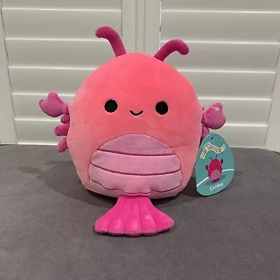 Buy Squishmallow 7.5” Cordea The Barbie Pink Lobster BNWT • 18.99£