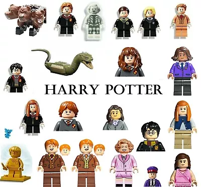Buy Genuine LEGO Harry Potter Choose Minifigure Inc 76389 76348 ETC Golden 20 Years • 5.99£