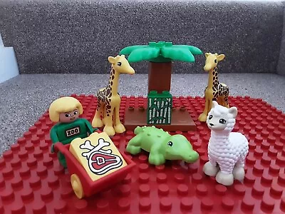 Buy ⭐️ Lego DUPLO Zoo Animals Alpaca , Giraffes, Alligator Jungle Safari FIGURES ⭐️ • 10.99£