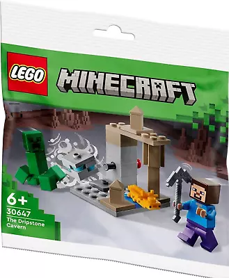 Buy Lego Minecraft The Dripstone Cavern 30647 Polybag BNIP • 6.49£