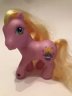 Buy My Little Pony G3 Collectible Toy MLP - Magic Marigold Variant • 4£