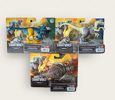 Buy Mattel Jurassic World Bundle Borealopelta Pyroraptor Velociraptor Dinosaur Dino  • 19.99£