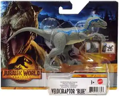 Buy Jurassic World Dominion Velociraptor 'Blue' Ferocious Pack Action Figure • 21.99£