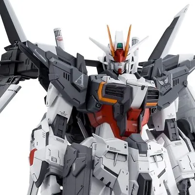 Buy MG Gundam Ex Impulse 1/100 Scale Model Kit Gundma Build Divers Genius Head Line • 116.71£
