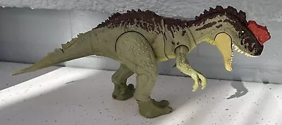Buy Mattel Jurassic World Yangchuanosaurus • 9.50£
