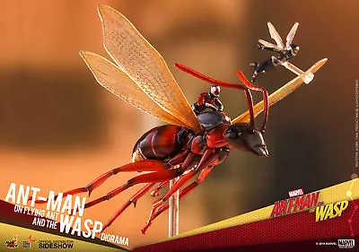 Buy Hot Toys Sideshow Ant-Man On Flying Ant & The Wasp MMS Diorama Action Figures  • 154.44£