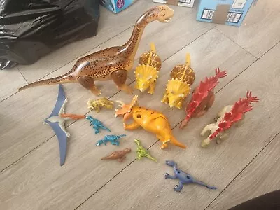 Buy Playmobil Dinosaur Bundle  • 5£