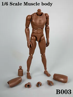 Buy 1/6 Scale Narrow Shoulder Male African Figure Body For 12  TTM18 TTM19 Hot Toys • 17.43£