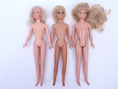 Buy 3 Vintage 1970s 1980s Quick Curl Malibu Great Shape Barbie Skipper Dolls Doll • 25.73£