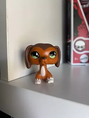 Buy Littlest Pet Shop|LPS Authentic #675 Dachshund Rare Made By Hasbro • 130£