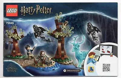 Buy Lego Harry Potter INSTRUCTION MANUALS ONLY - Choose The One You Want • 2.99£