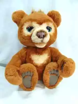 Buy Hasbro Fur Real Friends Cubby The Curious Bear, Interactive Plush Toy.bear Only  • 15.99£