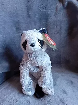 Buy Bandito TY Beanie Baby - With Tags • 1.50£