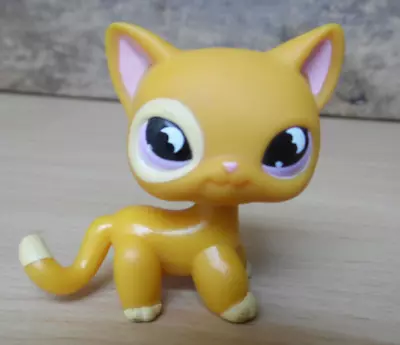 Buy Hasbro Lps Petshop Original European Chat Shorthair Cat # 855 • 20.45£