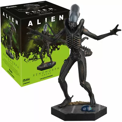 Buy Alien And Predator Collection Xenomorph Drone Figure With Magazine 1:16 Figure • 16.99£