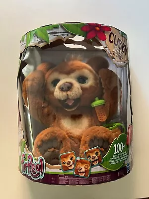 Buy FurReal Friends Curious Cubby  Teddy Bear Toy • 80£